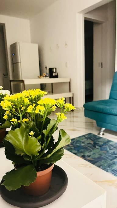 Apartamento No Andar Terreo Foz do Iguaçu Exteriér fotografie